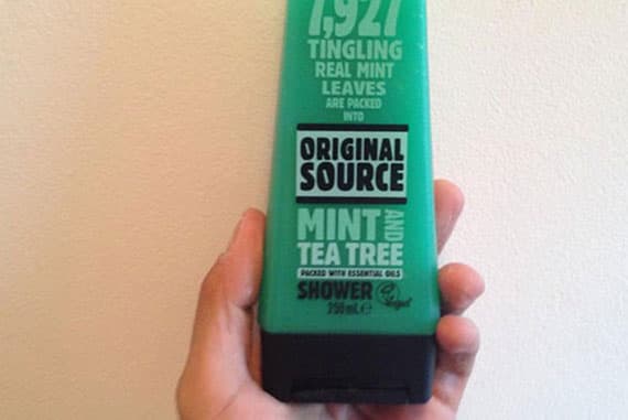 Original Source – Mint And Tea Tree Body Wash